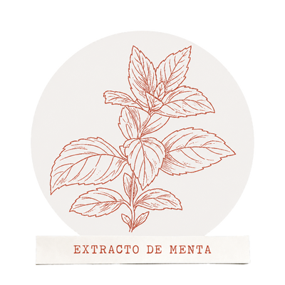 Extracto de Menta